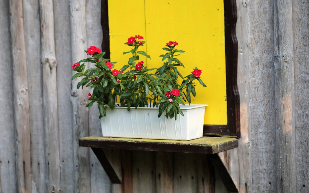 Een blokhut met veranda: optimaal genieten in je zomertuin