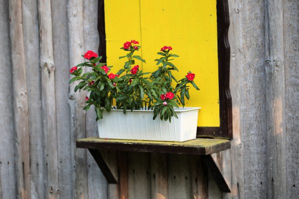 Een blokhut met veranda: optimaal genieten in je zomertuin